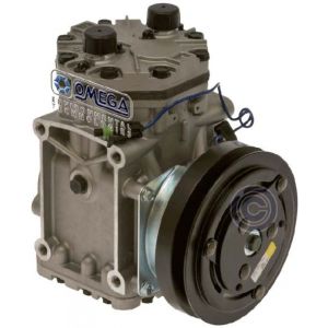 20-21003-AM
